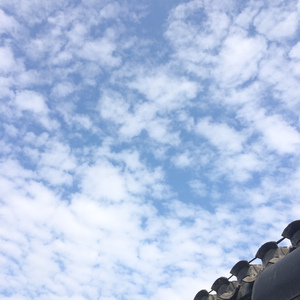 我不知道风是在哪一个方向吹