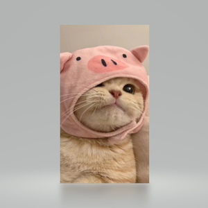 这个世界会好吗 cover李先生（翻自 李志）