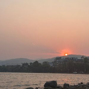 干物女（原唱洛天依）