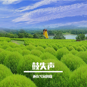 星光的翅膀