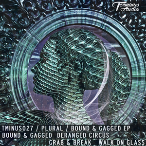 Deranged Circus (Original Mix)