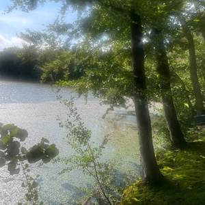 v̵̙͓̆̑̑̈̋̇͊̽͆e̷̦͍̬̟̿̒̋̔̽̋́r̵̢͕̣̪͇̦̰͔̞̠̼͉̯̄s̵̨̛̛̰̱̀̀̀̀͐͋͑̚ͅͅį̵̢̥͕̘̩̩̮̥͇͓̹̺̾͐̆́̌̈̕͠ǫ̴̖̻̭̞͎͍͙͖͉͇́̑̍̄̅̈́̑͂͘͝ṋ̵̹͎͍̹̠̲͖̬̺̤̬͑̀̊̓́͘̕ͅ ̶̢̛͓͉̱͔̲̥̦̫̺͔̜͉̩͑̒̏̌́͋̈̐̽̂͠ͅ2̴͔͓̦̗̙̲̎̽̽̔͝͠