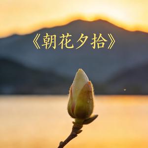 《朝花夕拾》