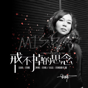 戒不掉的思念 (DJ版)