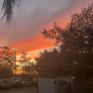 Thrown' away my love