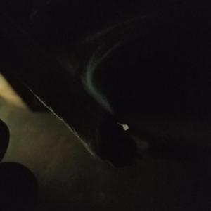 Donda's Nation Music Family -Amaniga aseShayamoya> Sample track