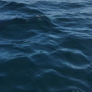 眼睫毛扎进心里(完整版)