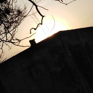 零和壹（no common）