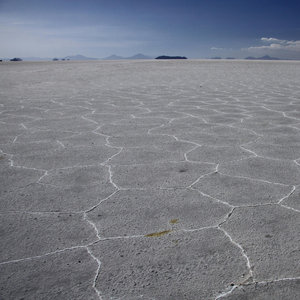 Tectonics