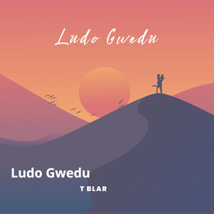 Ludo Gwedu