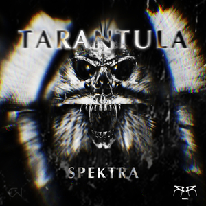 Tarantula (Original Mix)