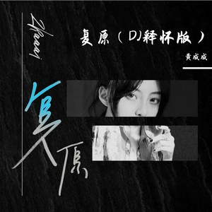 复原（DJ释怀版）
