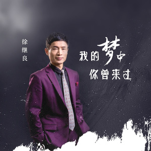 我的梦中你曾来过 (伴奏)