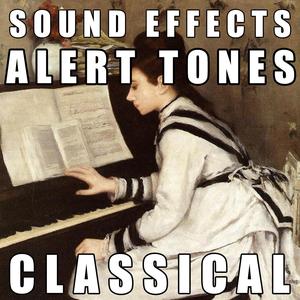 Piano Roll 2 Alert Tone, 30 Seconds