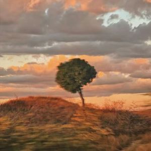 八点还起不来，你就继续等着当个废物吧