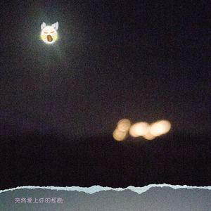 突然爱上你的那晚