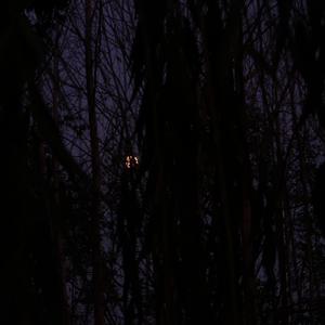 花海（翻自 jay）