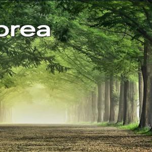 네온 정글