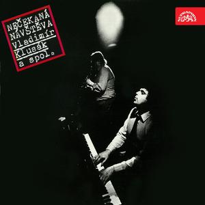 Nečekaná návštěva