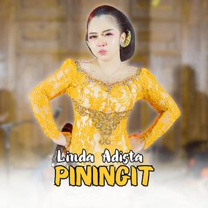 Piningit