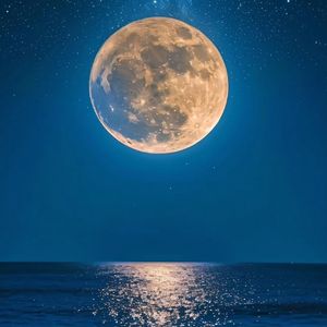 Falsehood（prod.by Morrow x FAS）1