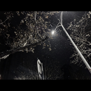 But like me 仅有一颗心Youhavemyheart-