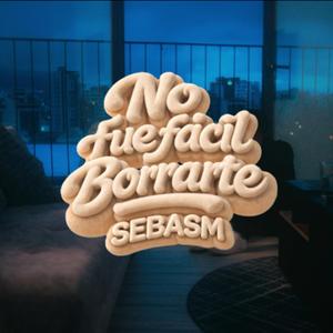 No fue facil borrarte