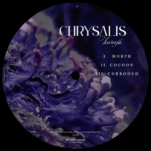 Corroded (Original Mix)