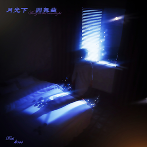 月光下圆舞曲