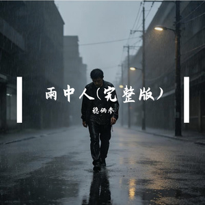 雨中人(完整版)