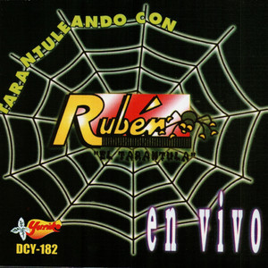 Mambo Al Amanecer (En Vivo)