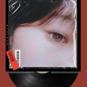 未妨惆怅是清狂