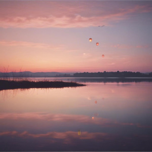 空へ羽ばたく。