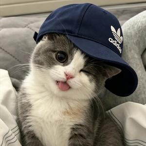 还是没有遇见对的人