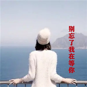 别忘了我在等你DJ