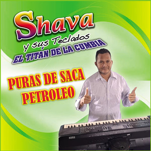 Palito De Guayacan