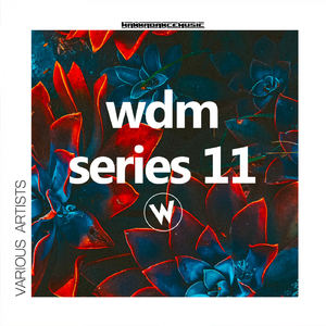 Vengal (Original Mix)