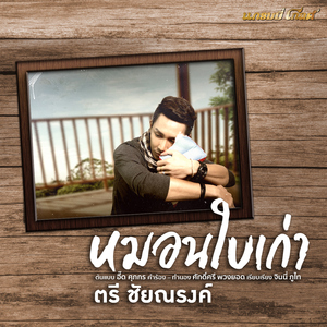 หมอนใบเก่า (Cover)