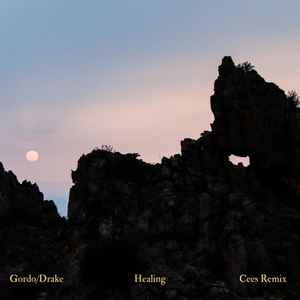 Healing (Cees Remix)