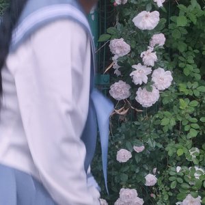 落（我捻来一缕春风-艾辰）