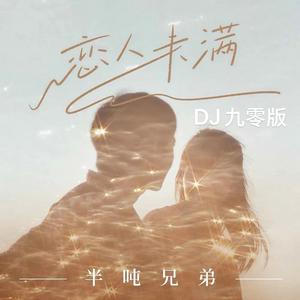 恋人未满 (DJ九零版)