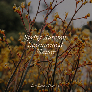 Whispers of Forsaken Dreams