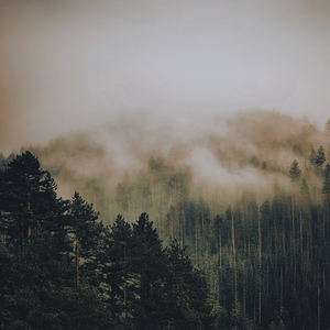 The World at Half Breath