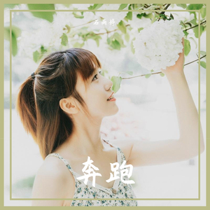 石雨婷《奔跑》原唱HD