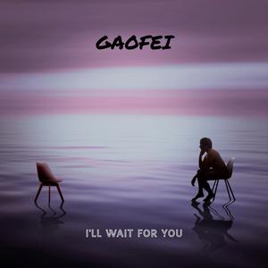 I'll Wait For You