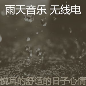 抚慰的雨回忆