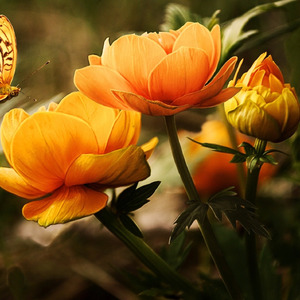 Dj Sou Favela (Remix)