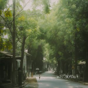 我怀念的那些年