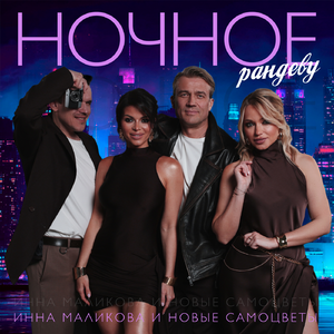 Ночное рандеву