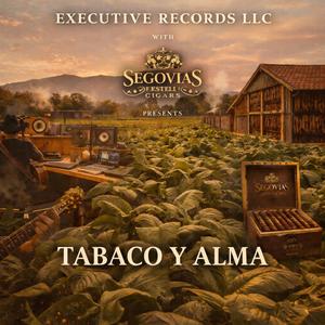 Tabacalera Segovias Puro Nivel